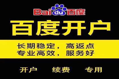热门SEM运营公司案例深度剖析